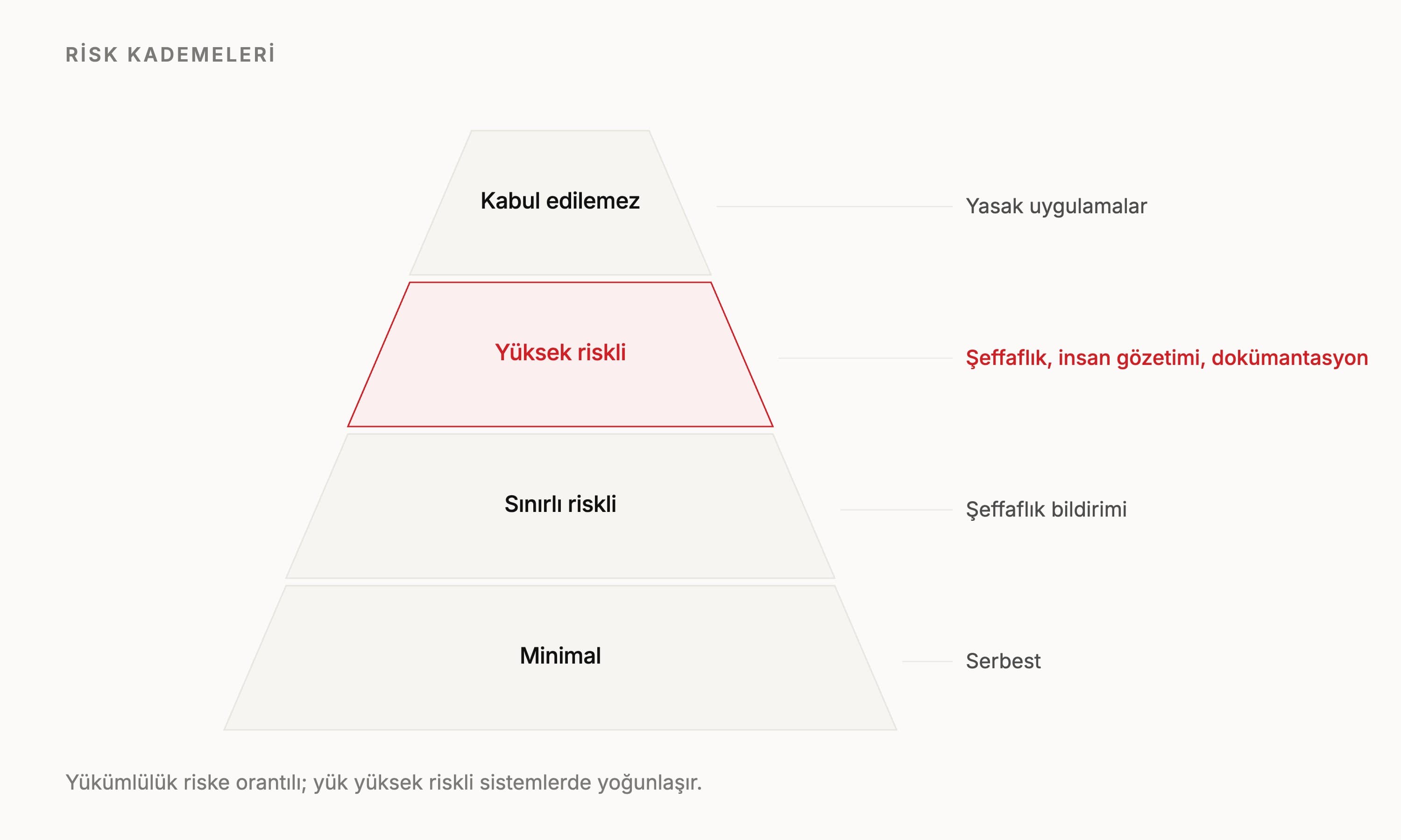 EU AI Act kurumlar için ne getiriyor?